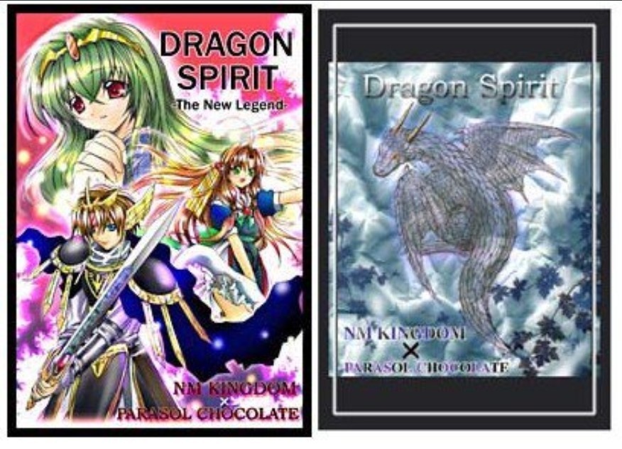 日本総代理店 ゲームブック ドラゴンスピリットと時の鍵の伝説 | www 