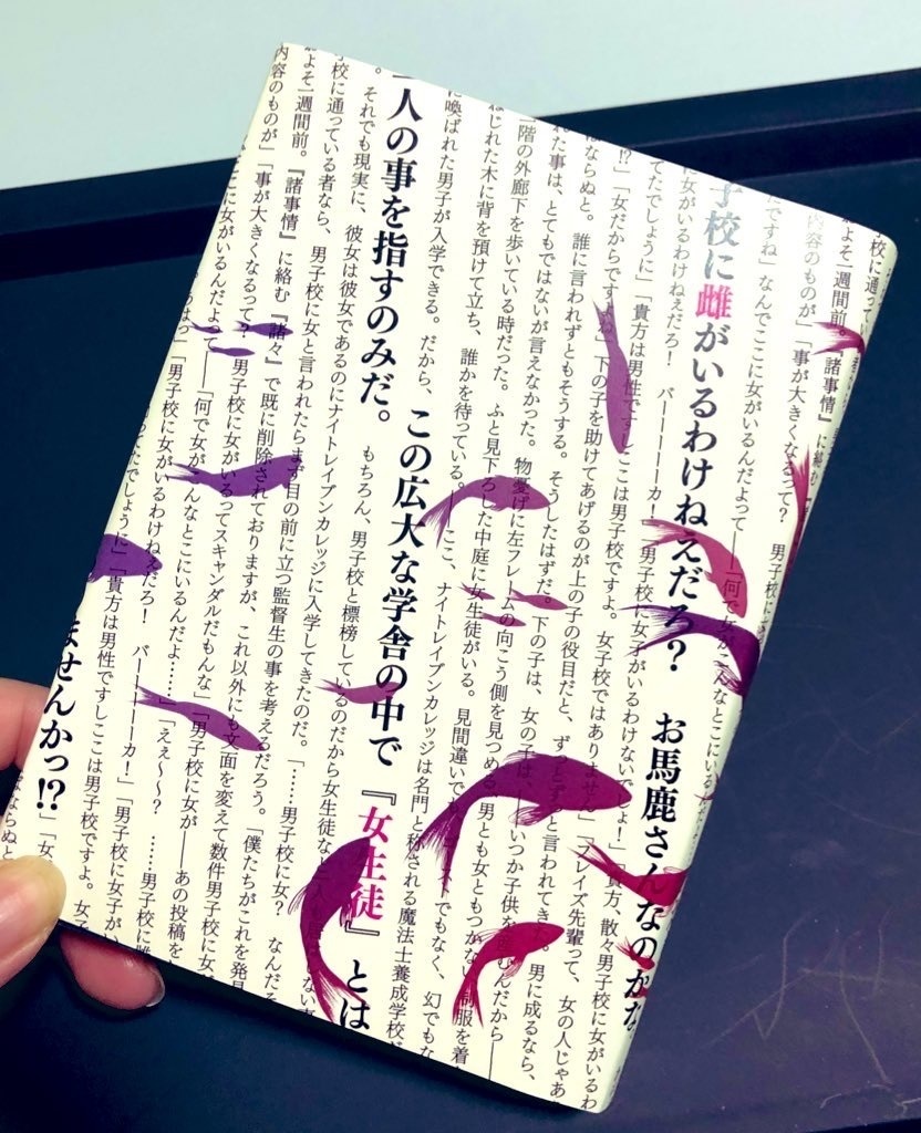 イマジナリーガール【男子校に女がいるわけねぇだろ】