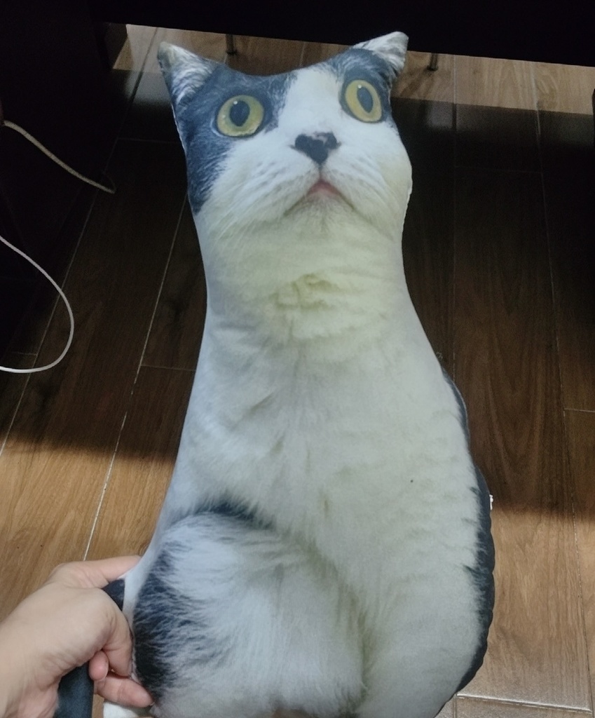 醜いペット枕 Ugly Pet Pillow