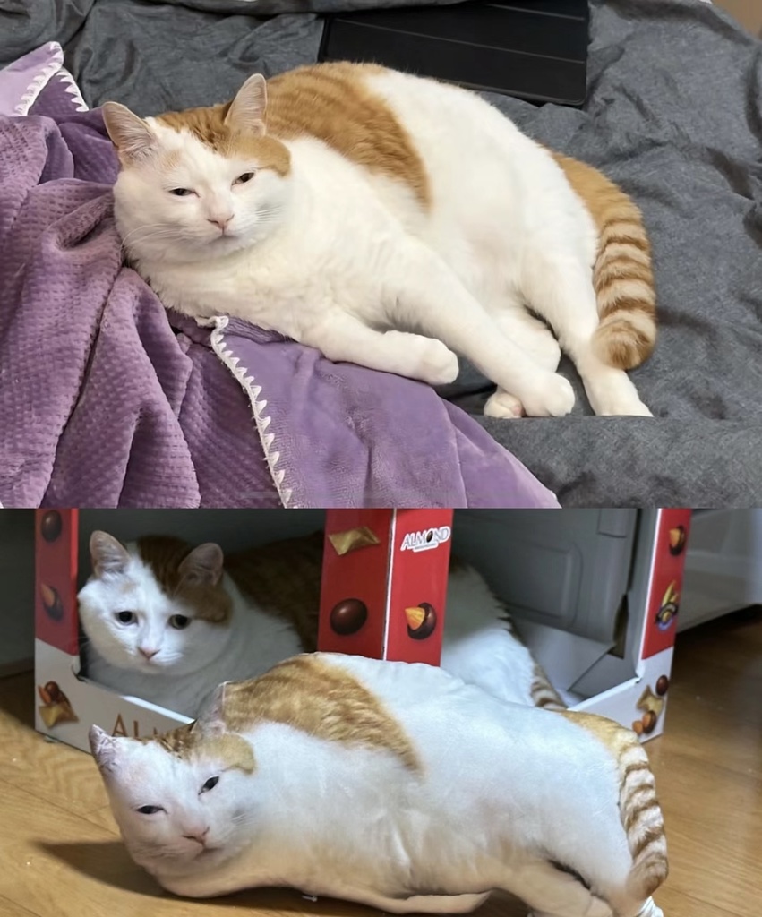 醜いペット枕 Ugly Pet Pillow