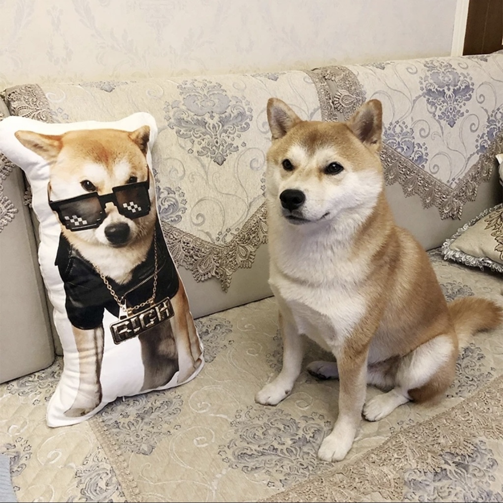 醜いペット枕 Ugly Pet Pillow