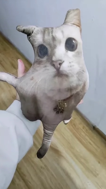 醜いペット枕 Ugly Pet Pillow