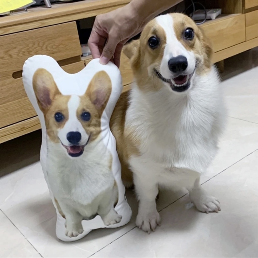 醜いペット枕 Ugly Pet Pillow