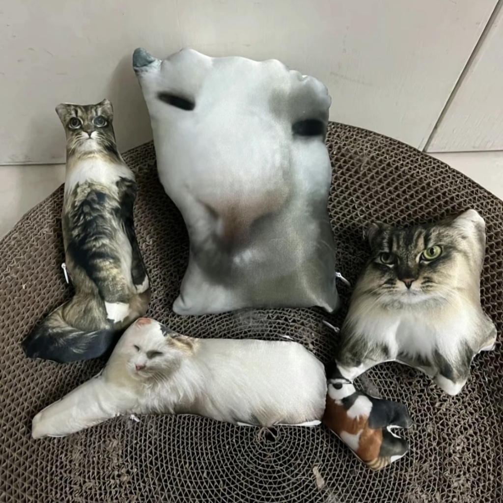 醜いペット枕 Ugly Pet Pillow