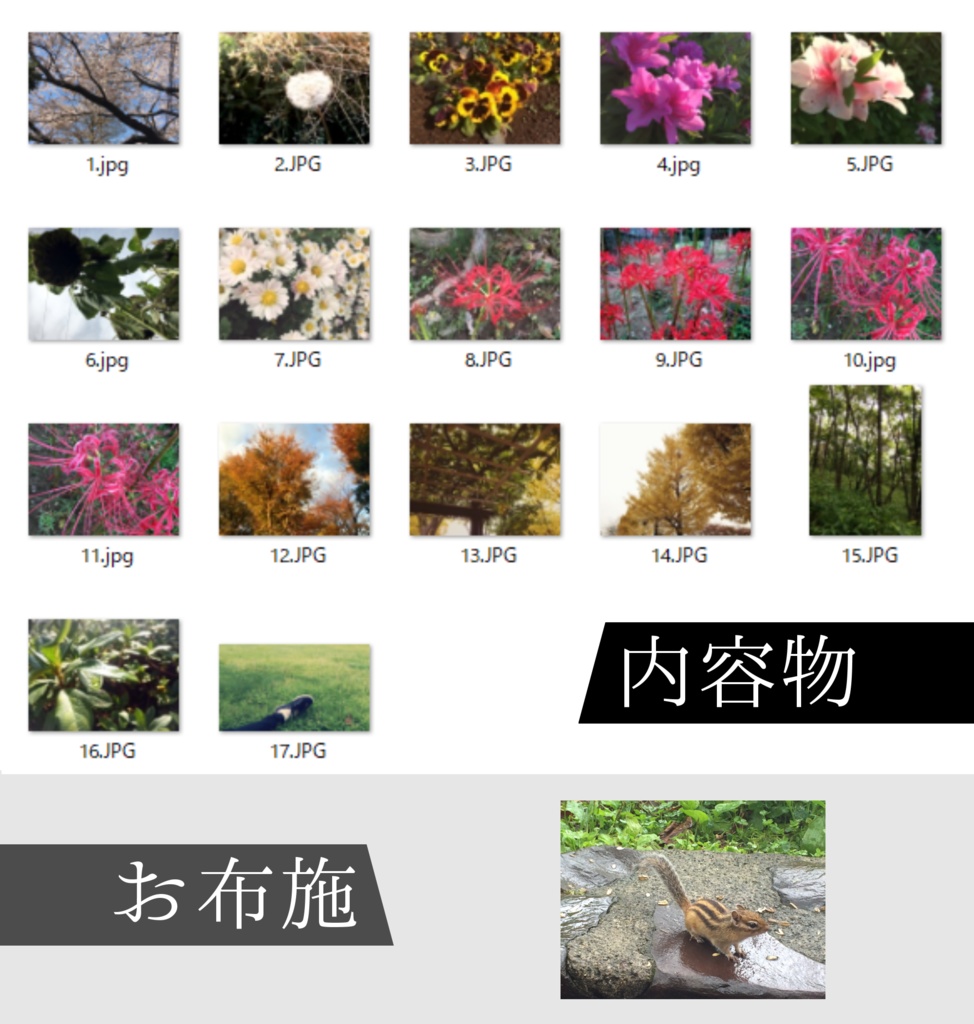【無料】雰囲気スマホ写真Vol.5:遷移