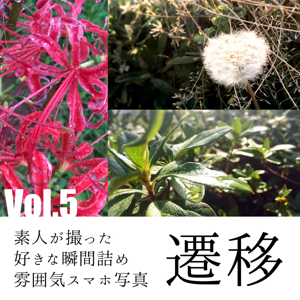 【無料】雰囲気スマホ写真Vol.5:遷移