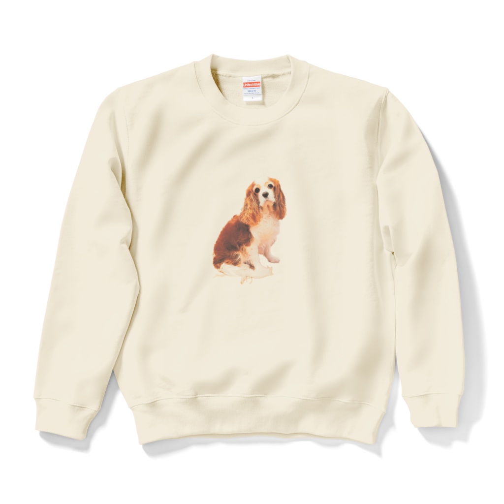 キャバリアスエット