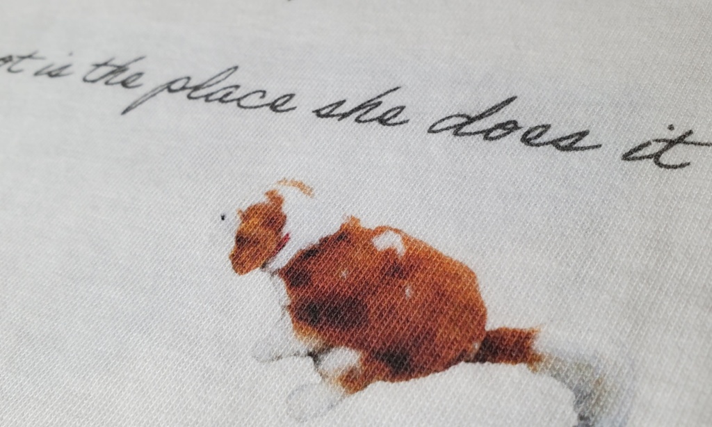 こむぎさんのお気に入りスポットT