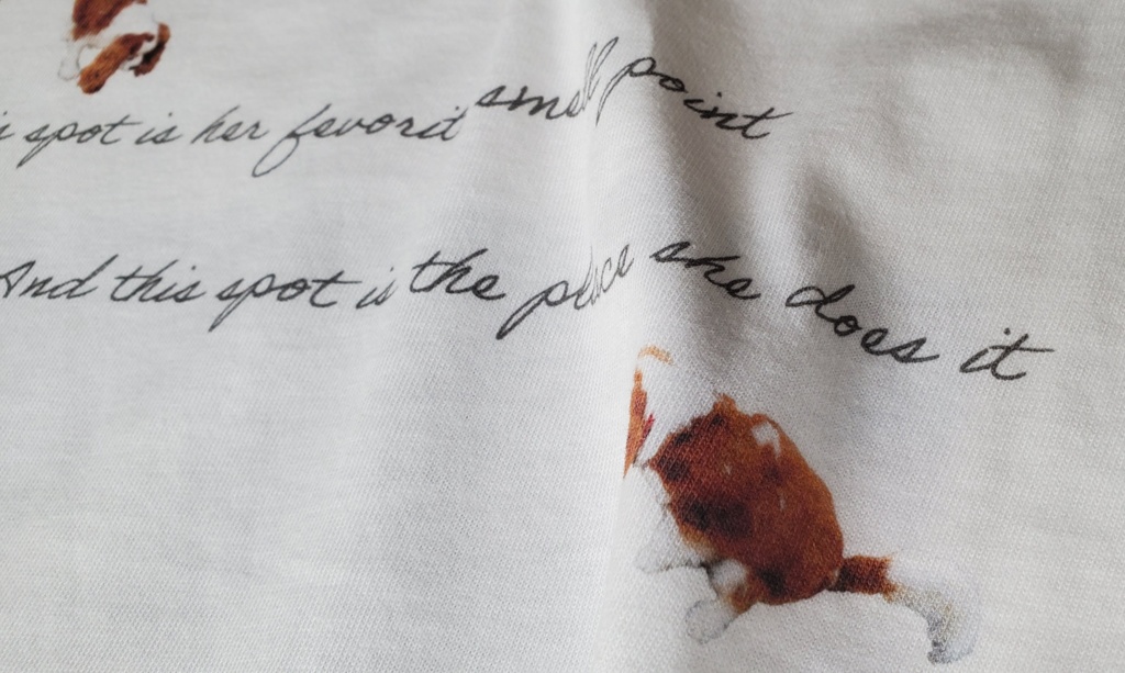 こむぎさんのお気に入りスポットT