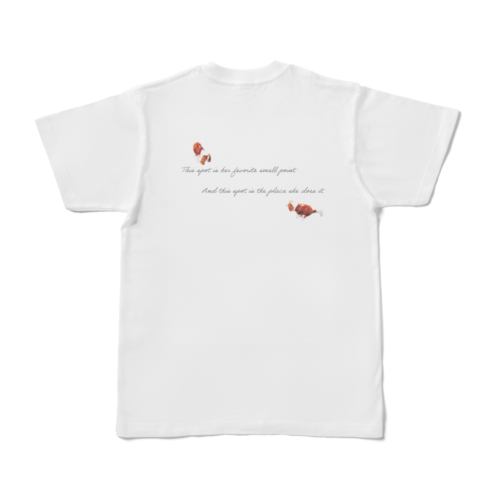 こむぎさんのお気に入りスポットT