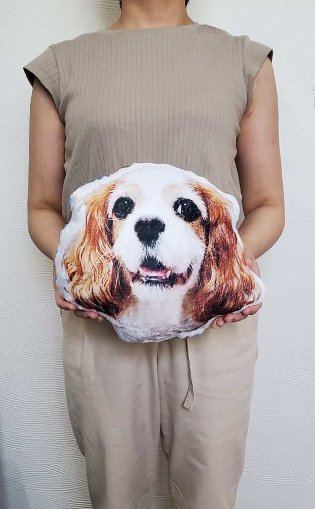 こむぎさんのにっこりクッション