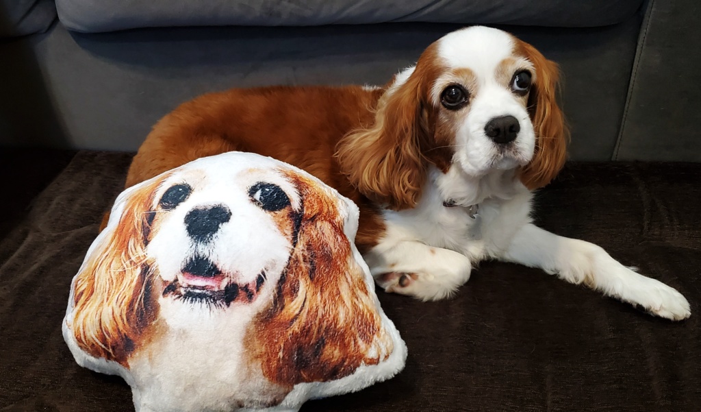 こむぎさんのにっこりクッション