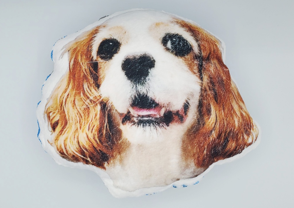 こむぎさんのにっこりクッション