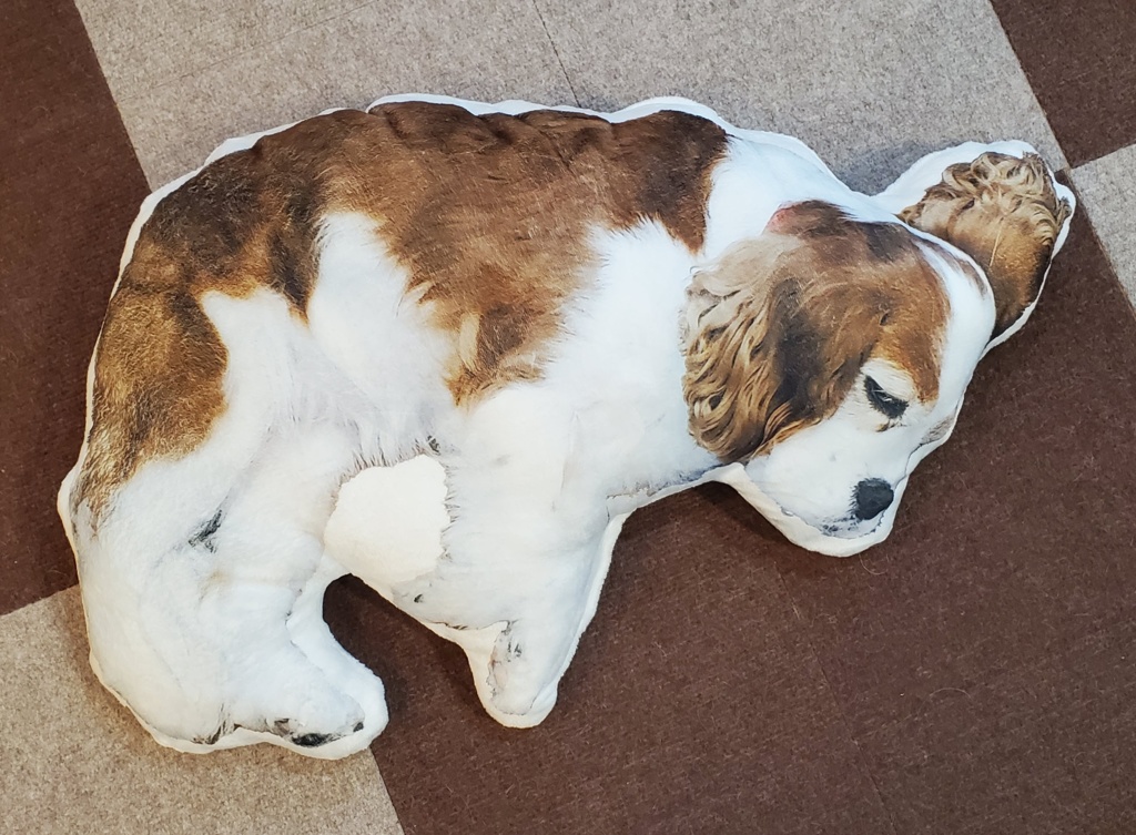 こむぎさんと一緒にお昼寝できるクッション!