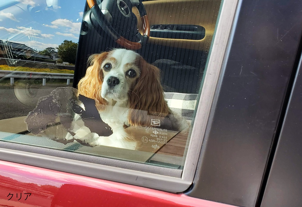 ステッカー《ぽけぇ》