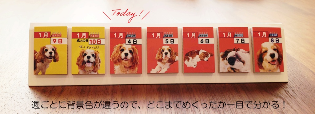 365日毎日こむぎさんに会える付箋タイプの日めくりカレンダー