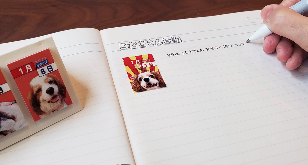 365日毎日こむぎさんに会える付箋タイプの日めくりカレンダー