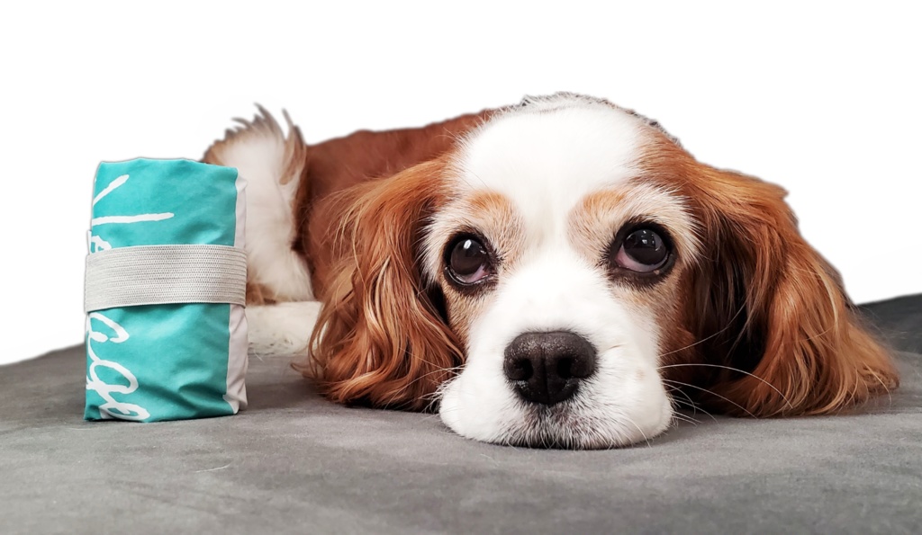 こむぎさんのエコバッグ