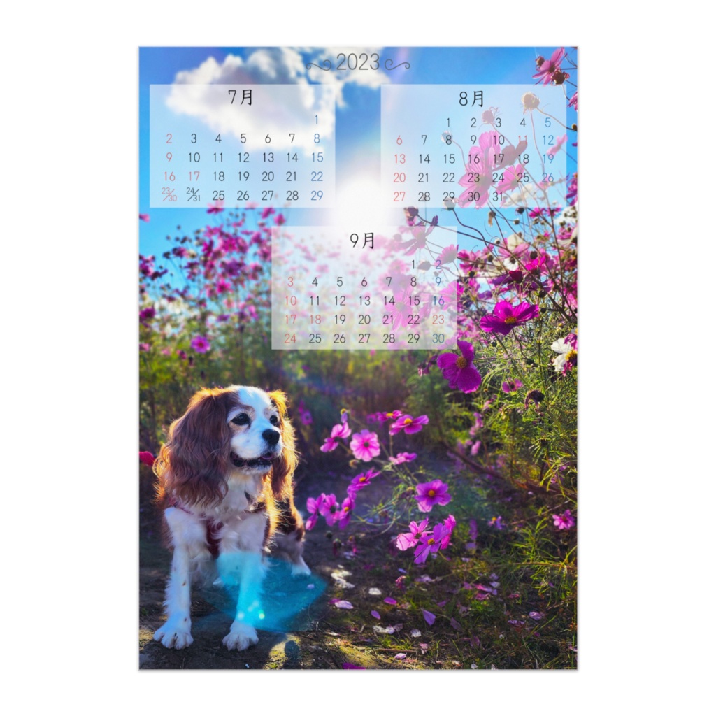 こむぎさんポスターカレンダー2023・秋バージョン~7月8月9月~
