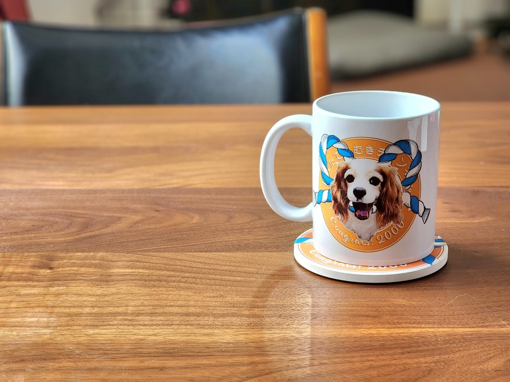 チャンネル登録者数二千記念マグカップー阿吽ー