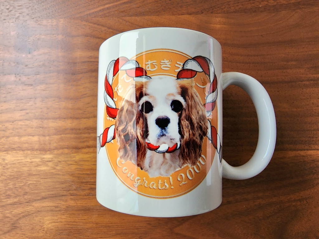 チャンネル登録者数二千記念マグカップー阿吽ー