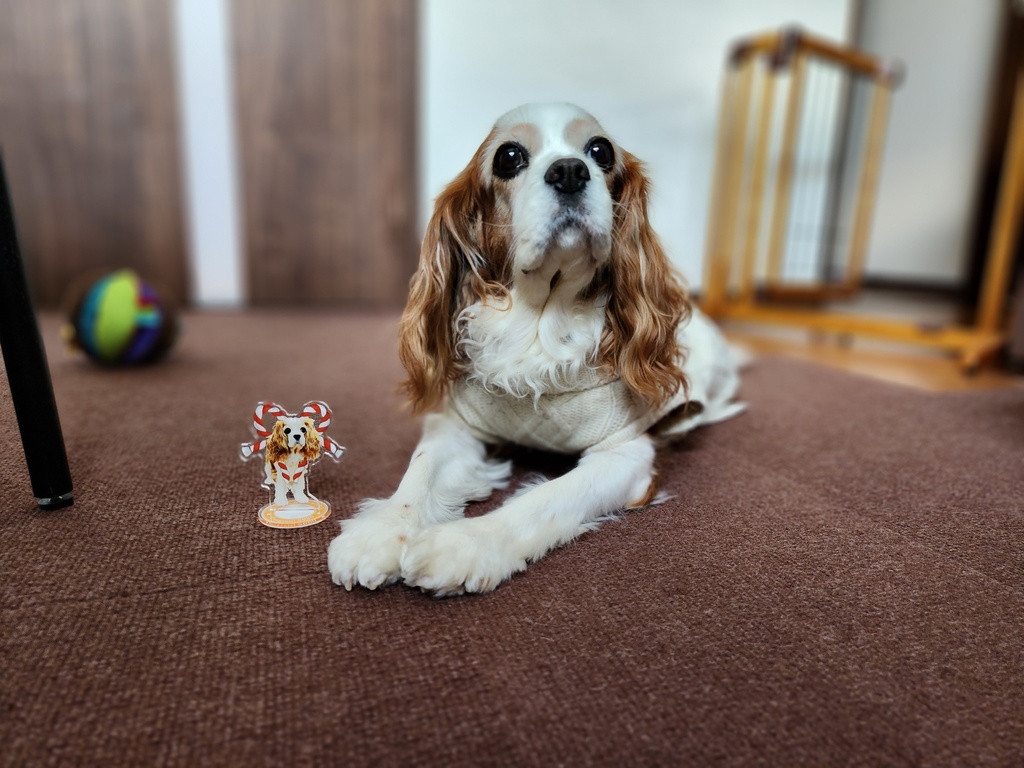 2000記念アクリルフィギュア