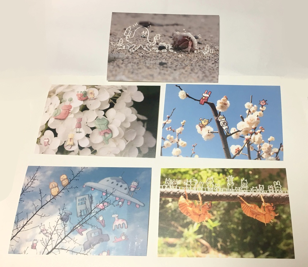 写真とらくがき/ポストカード