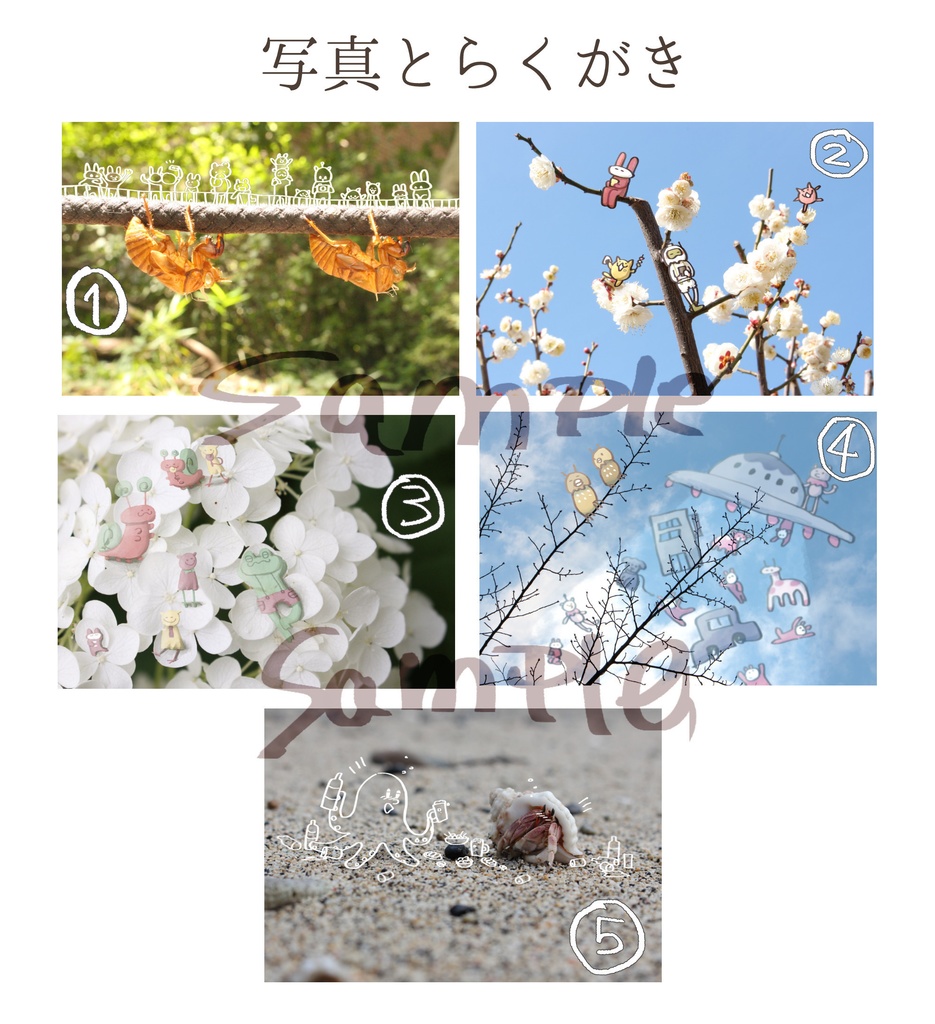 写真とらくがき／ポストカード