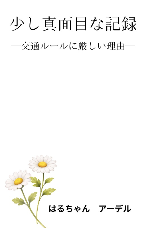 少し真面目な記録―交通ルールに厳しい理由―