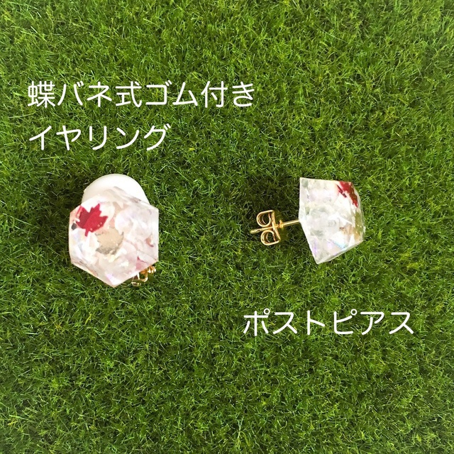 DC*冬の紅葉の下で*京園ピアス