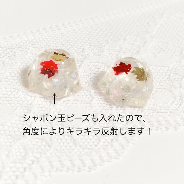 DC*冬の紅葉の下で*京園ピアス