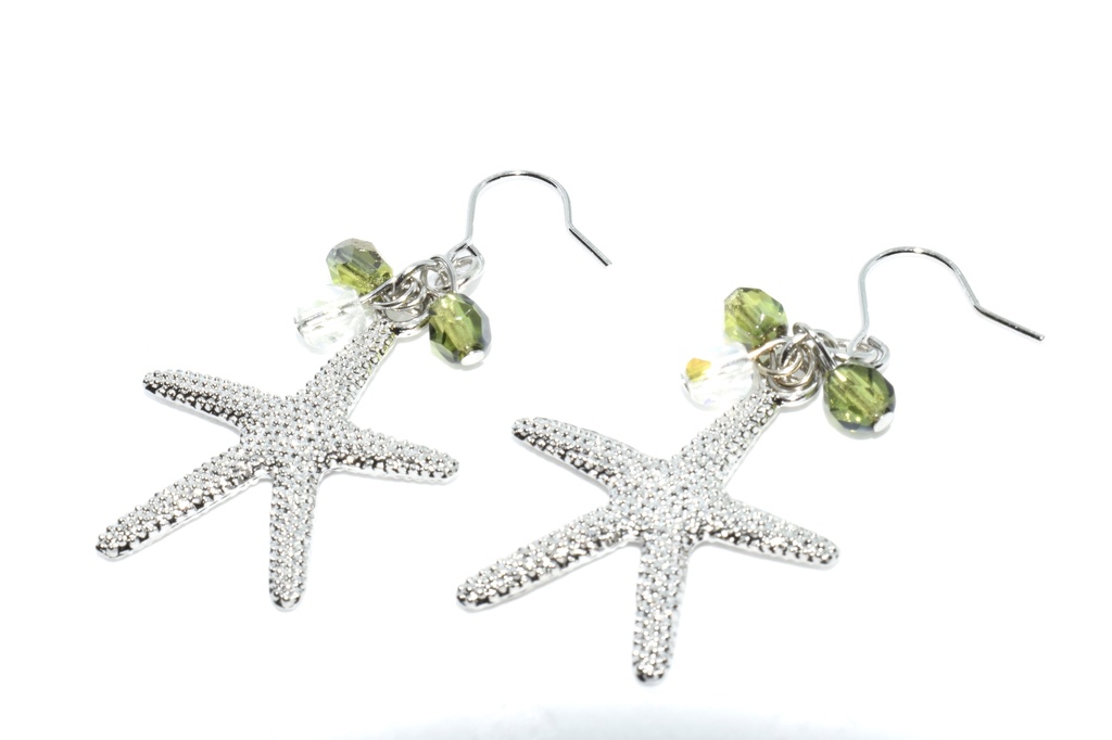 DC*赤井 サマーピアス(ヒトデ)