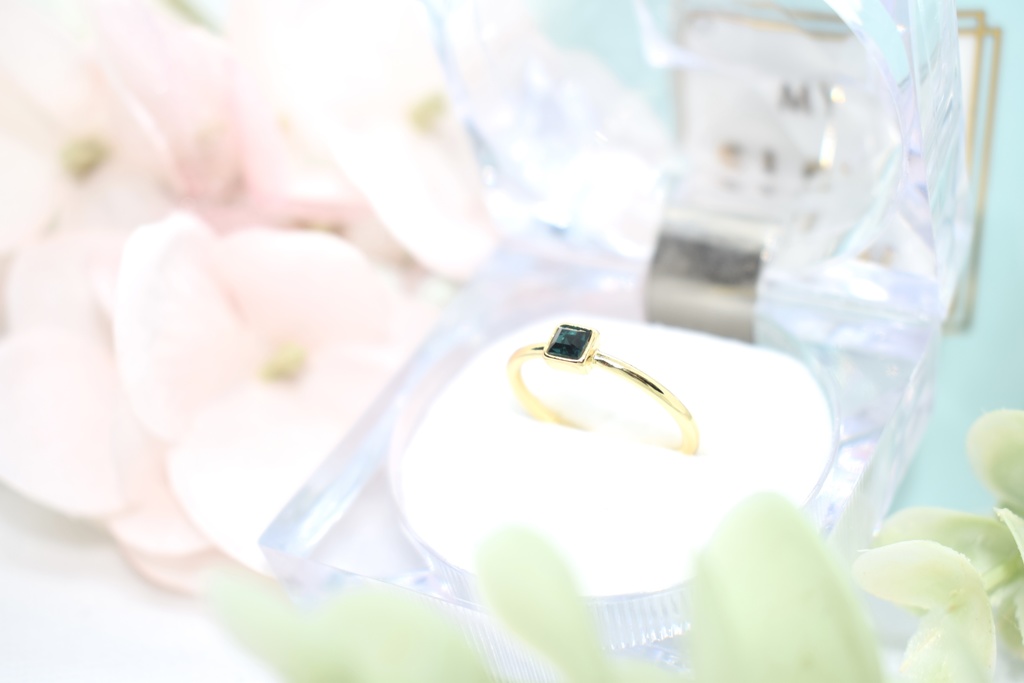 忍たま*6年生リング