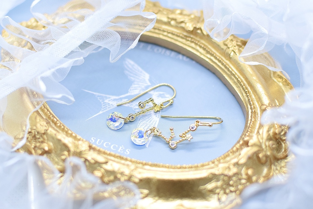 雑伊*星座ピアス/イヤリング