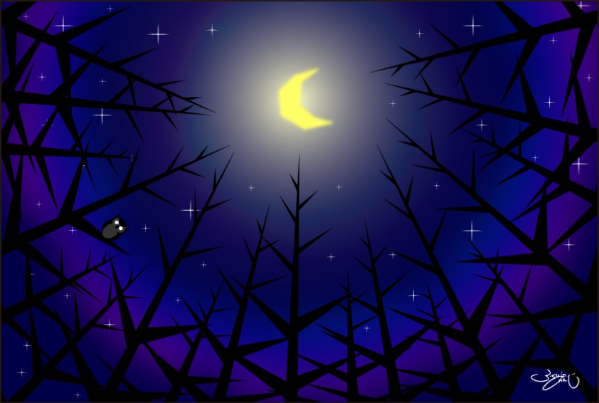 ポストカード004　森の月夜