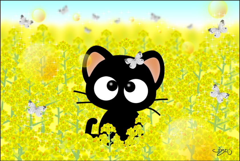 ポストカード007　菜の花畑のりっちー君