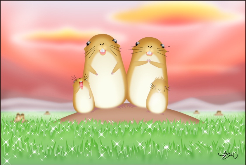 ポストカード022　なごみ陽の朝