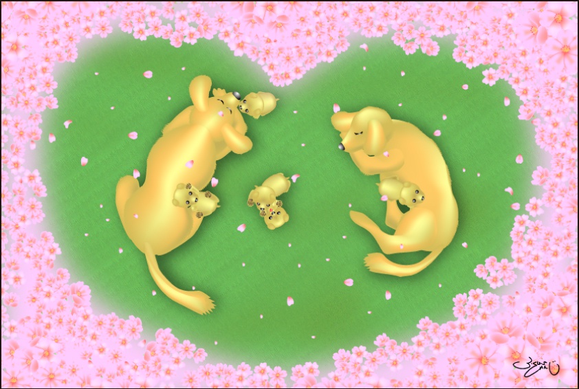 ポストカード036　夢見桜（ゆめみざくら）