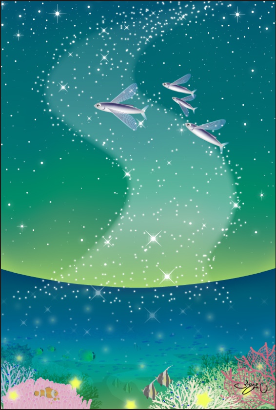 ポストカード042　マリンイルミネーション