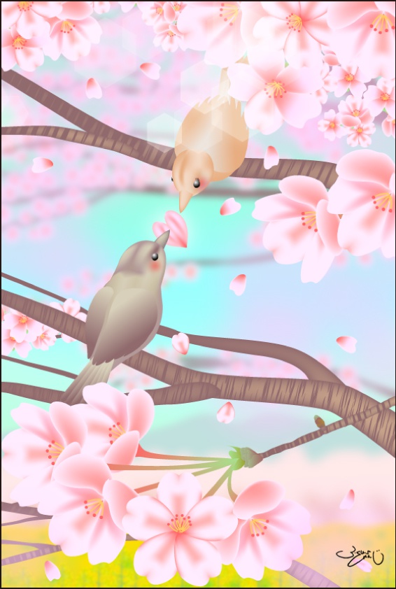 ポストカード060　桜恋文