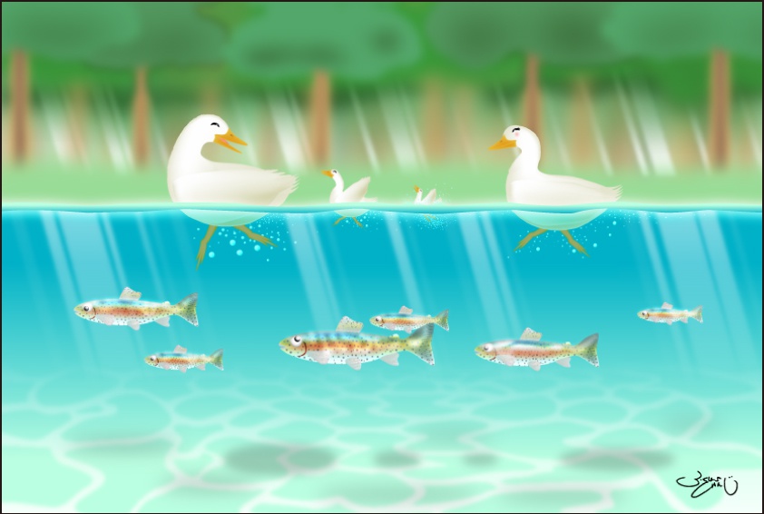 ポストカード066　水中さんぽ