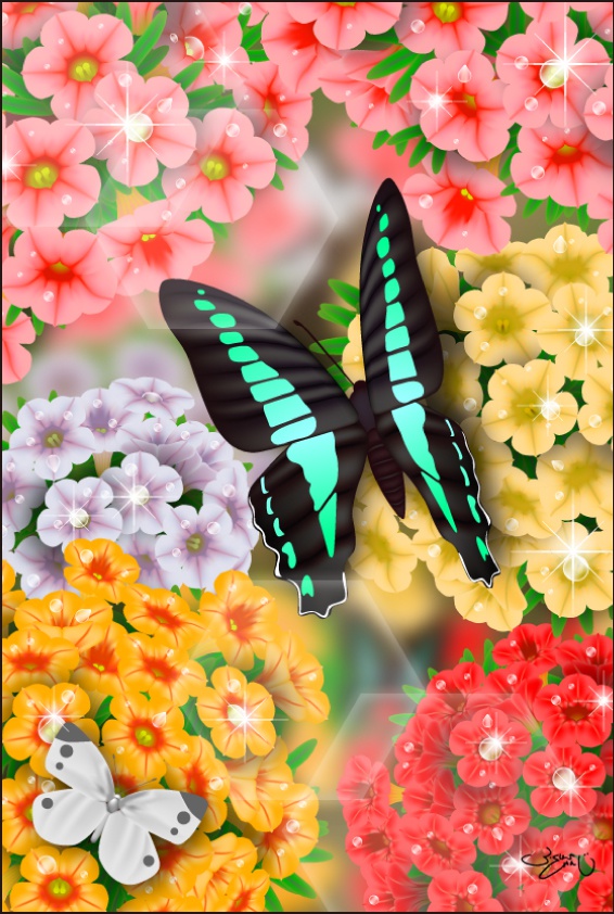 ポストカード112　フラワージュース