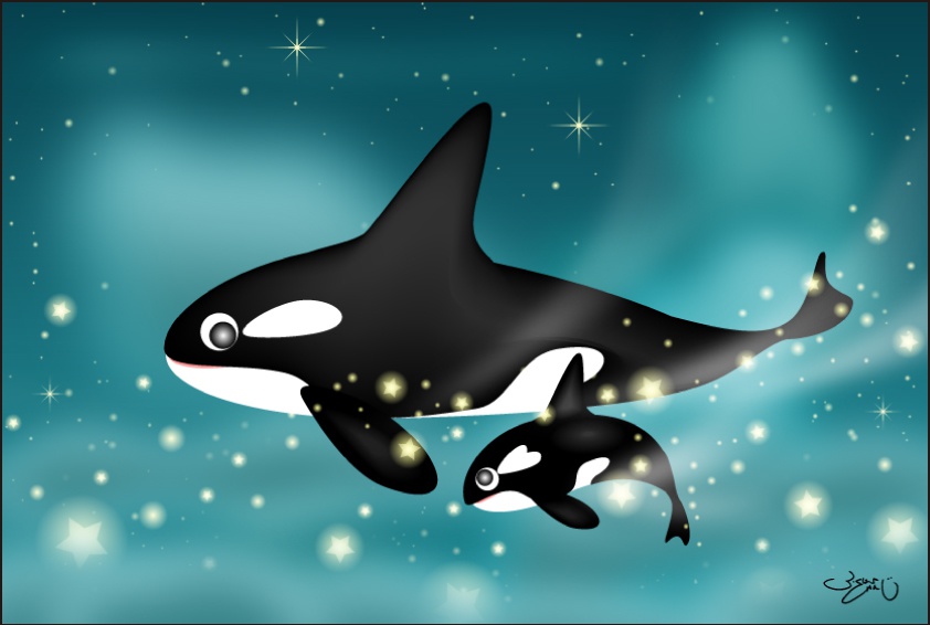 ポストカード115　スターダストウェーブ