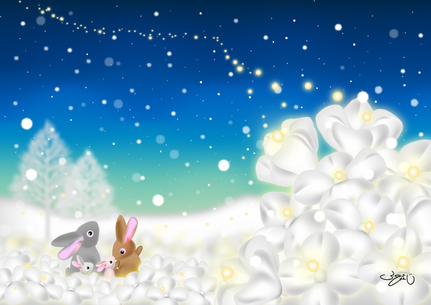 A4イラスト057　Snow Flower