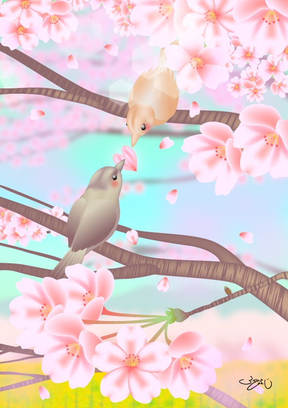 A4イラスト060　桜恋文