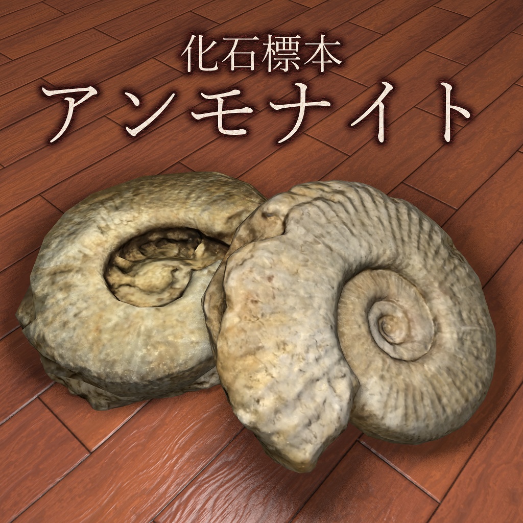 【無料】アンモナイト化石標本