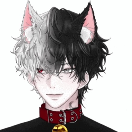 【1点限定 Live2D】 Black-and-white thief wolf