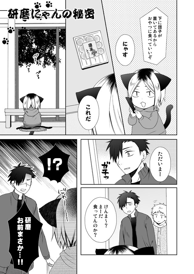 【DL版】あつまれ!研磨にゃん