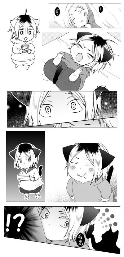 【DL版】研磨にゃんとお散歩