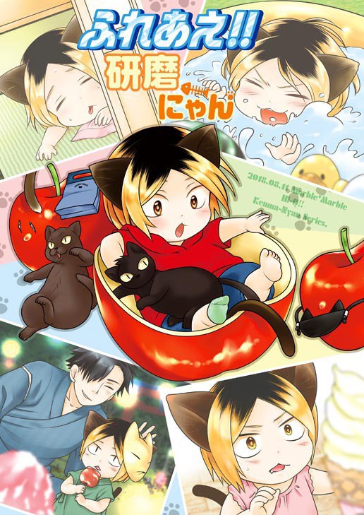 研磨にゃんシリーズ 13冊一括セット(2025.08現在庫)